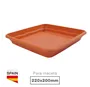 Plato para maceta cuadrada Terra 220mm Marrón