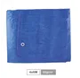 Toldo 65gr 4x6M Azul