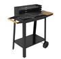 Barbacoa carro portátil Musters de acero para carbón 520mm x 270mm