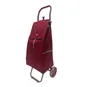 Carro de compra Bornova 2 ruedas plegable