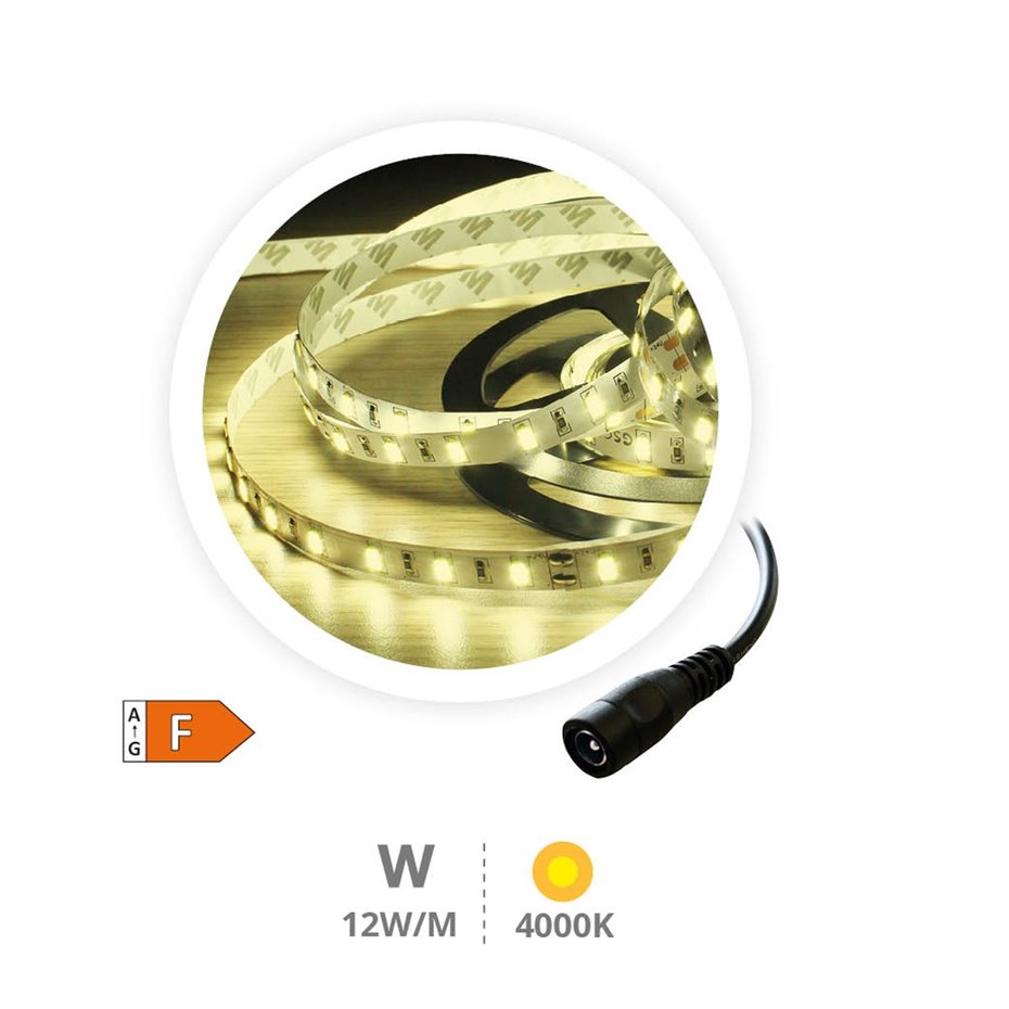 Rollo 5M TIRA LED (12W) 4000K-4500K IP44 24V