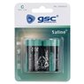 Pila salina GSC evolution R14 (C) Blister 2u