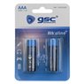 Pila alcalina GSC evolution LR03 (AAA) Blister 2u